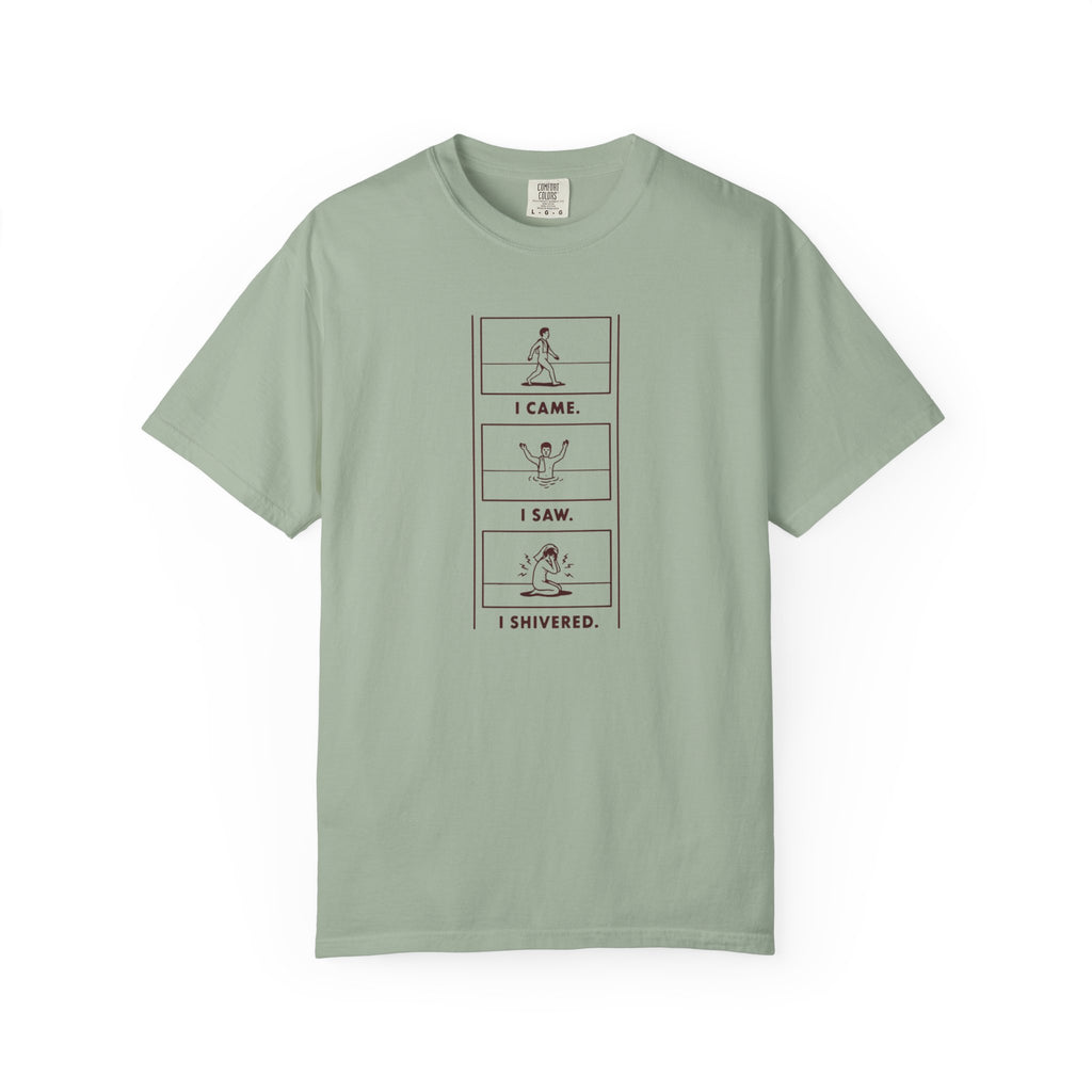 I Came I Saw I Shivered T-shirt