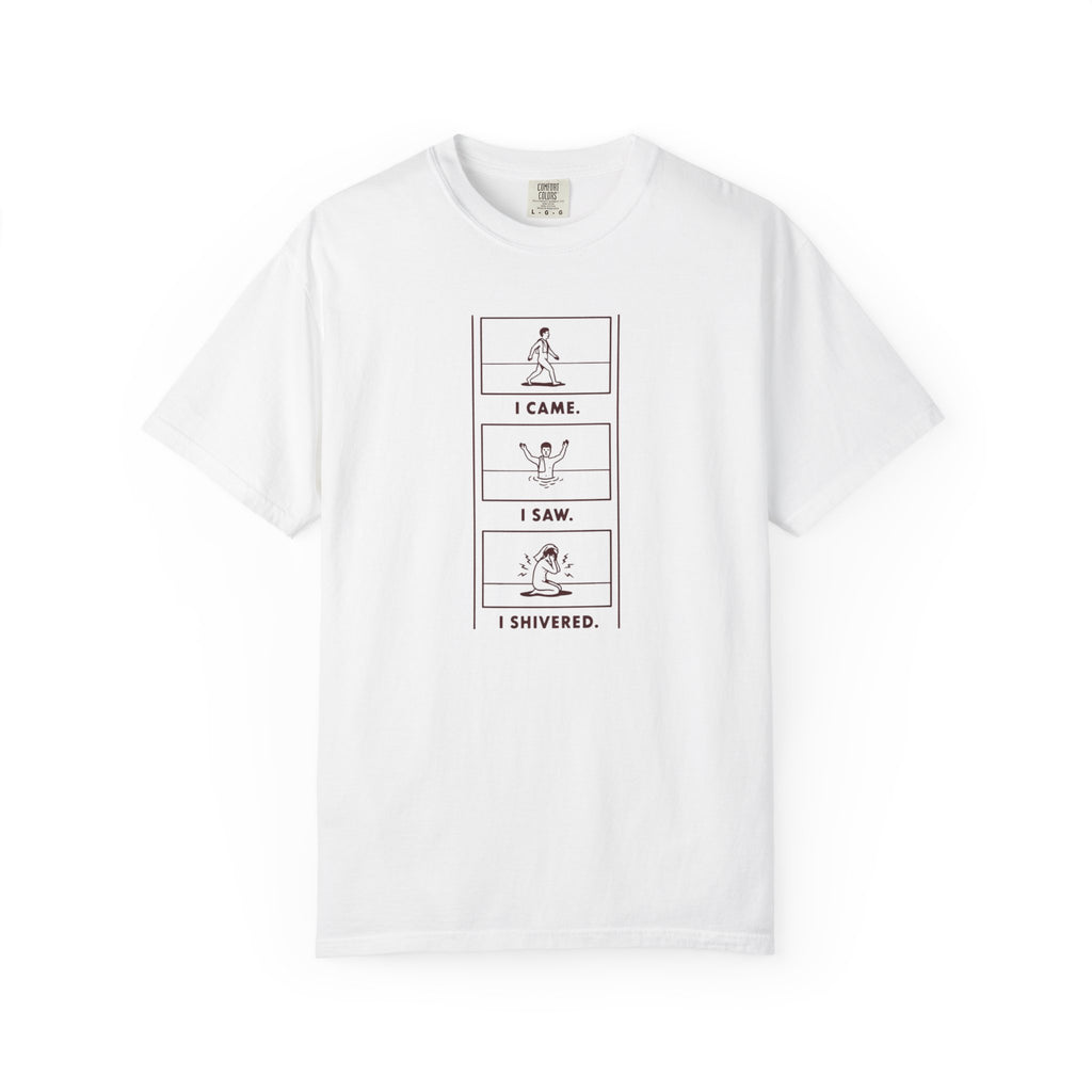 I Came I Saw I Shivered T-shirt