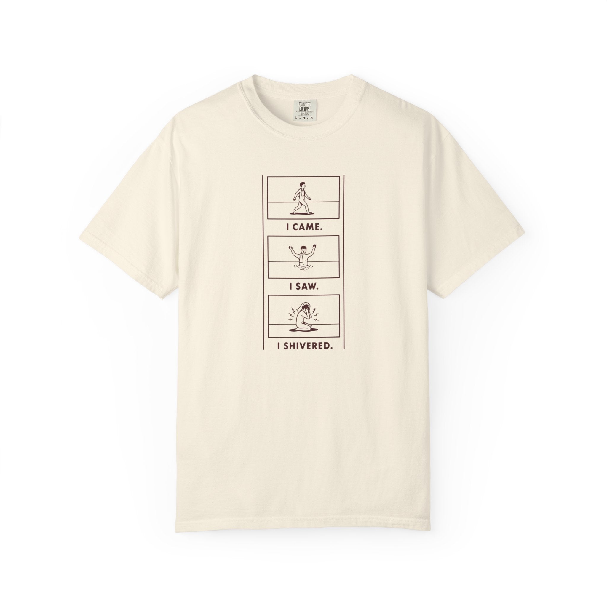 I Came I Saw I Shivered T-shirt