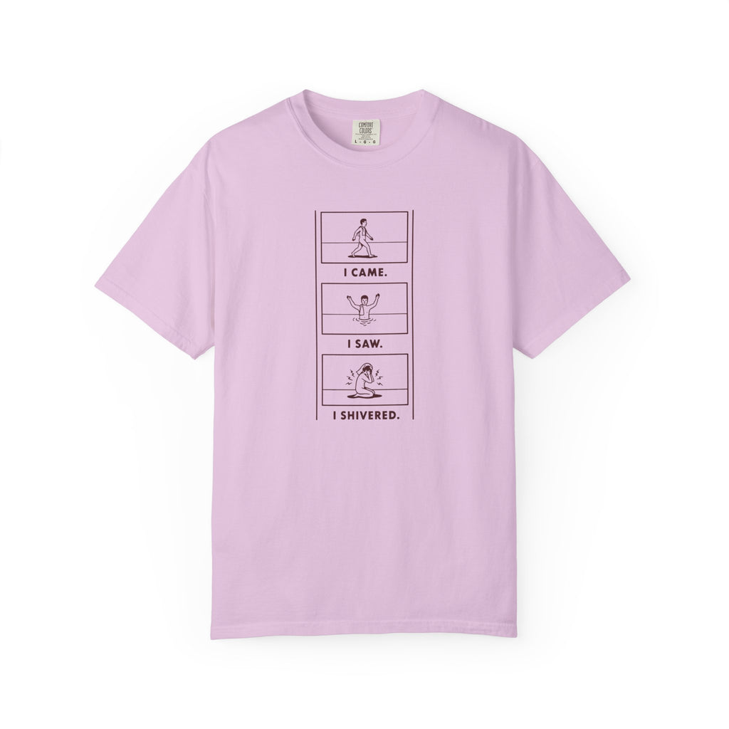 I Came I Saw I Shivered T-shirt